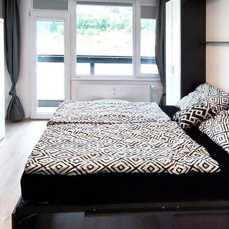 Utulny Apartman V Centru, S Krasnym Vyhledem 德辛 外观 照片