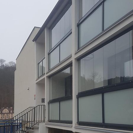 Utulny Apartman V Centru, S Krasnym Vyhledem 德辛 外观 照片