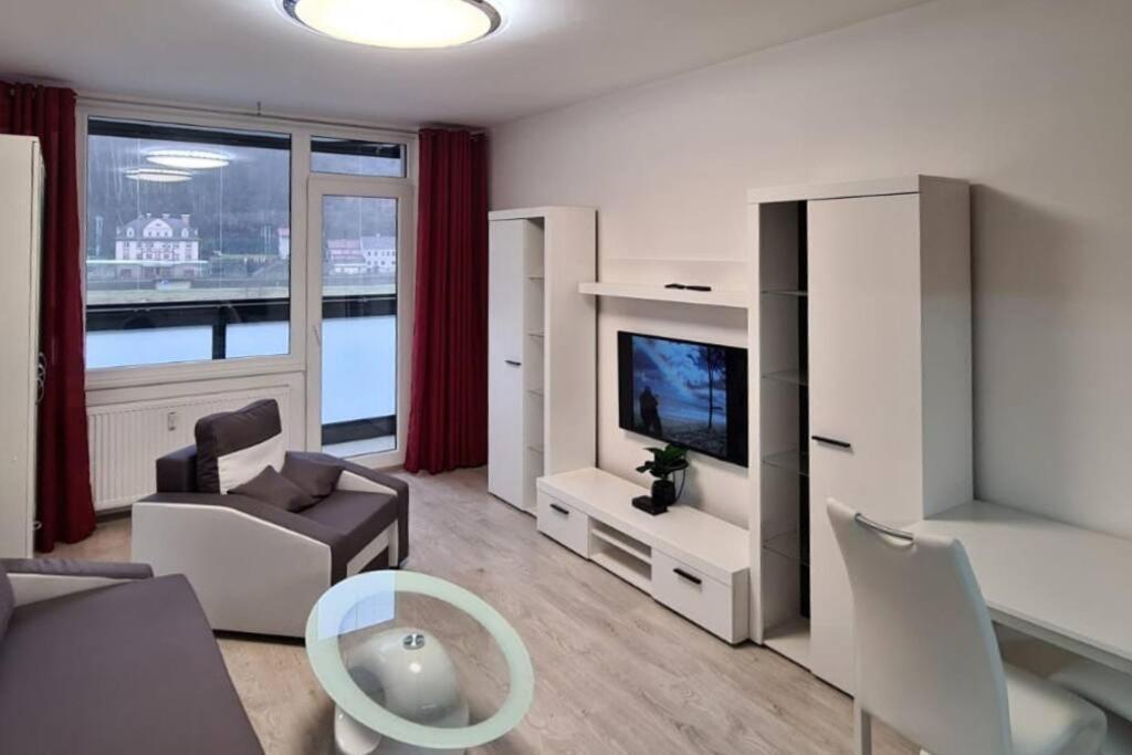 Utulny Apartman V Centru, S Krasnym Vyhledem 德辛 外观 照片