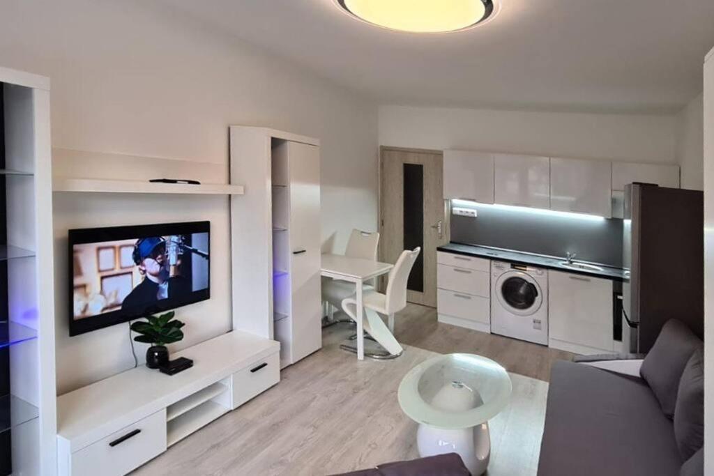 Utulny Apartman V Centru, S Krasnym Vyhledem 德辛 外观 照片