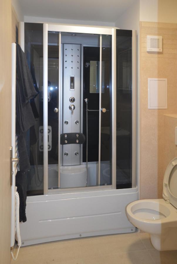 Utulny Apartman V Centru, S Krasnym Vyhledem 德辛 外观 照片