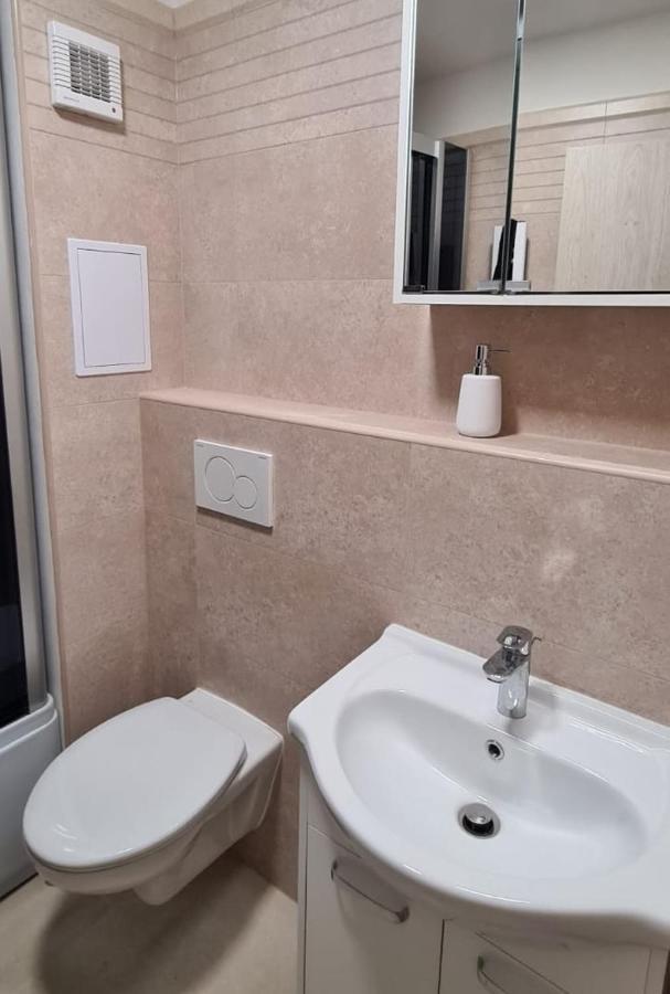 Utulny Apartman V Centru, S Krasnym Vyhledem 德辛 外观 照片
