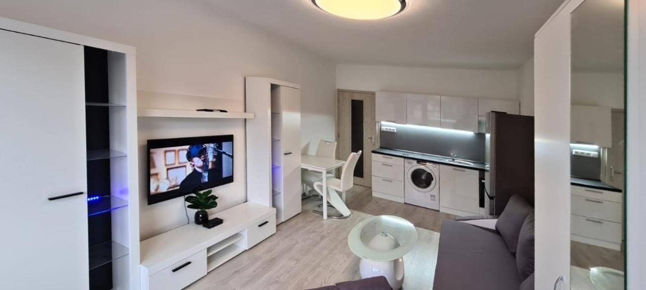 Utulny Apartman V Centru, S Krasnym Vyhledem 德辛 外观 照片