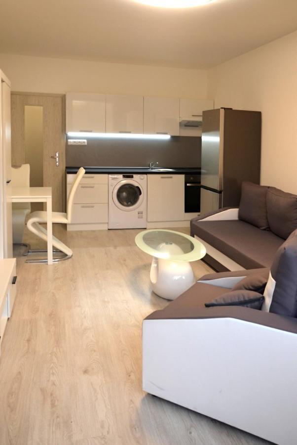 Utulny Apartman V Centru, S Krasnym Vyhledem 德辛 外观 照片
