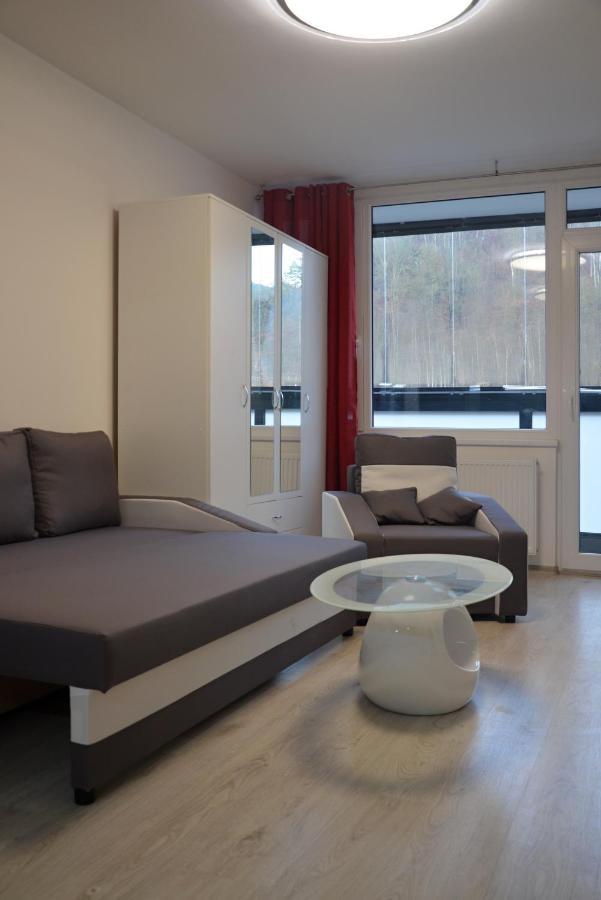 Utulny Apartman V Centru, S Krasnym Vyhledem 德辛 外观 照片
