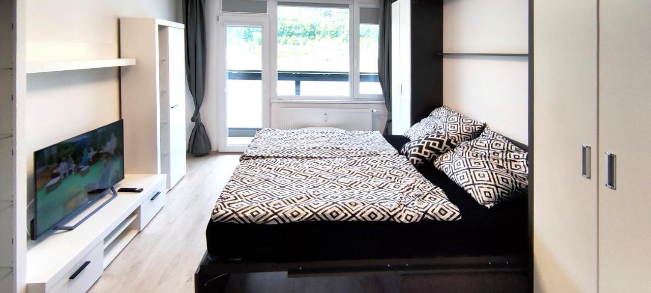Utulny Apartman V Centru, S Krasnym Vyhledem 德辛 外观 照片
