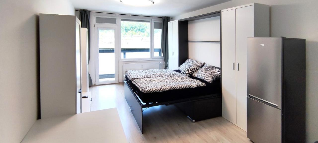 Utulny Apartman V Centru, S Krasnym Vyhledem 德辛 外观 照片
