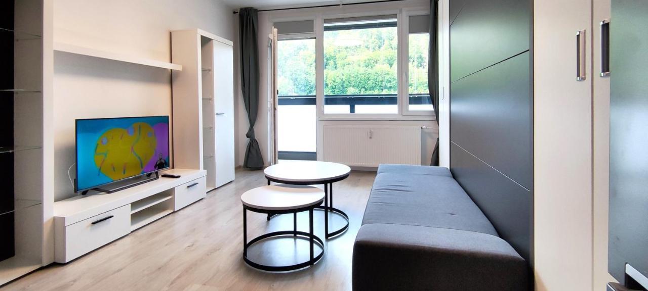 Utulny Apartman V Centru, S Krasnym Vyhledem 德辛 外观 照片