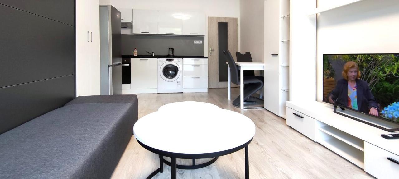Utulny Apartman V Centru, S Krasnym Vyhledem 德辛 外观 照片