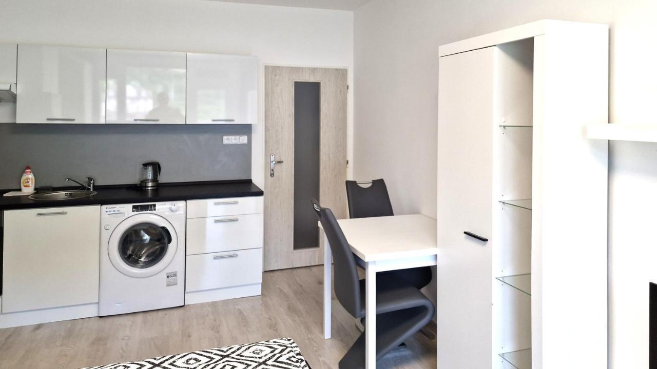 Utulny Apartman V Centru, S Krasnym Vyhledem 德辛 外观 照片