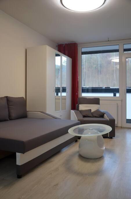 Utulny Apartman V Centru, S Krasnym Vyhledem 德辛 外观 照片