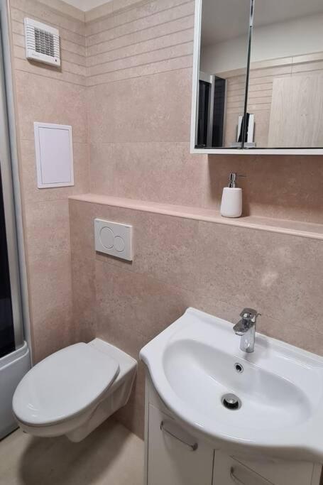 Utulny Apartman V Centru, S Krasnym Vyhledem 德辛 外观 照片