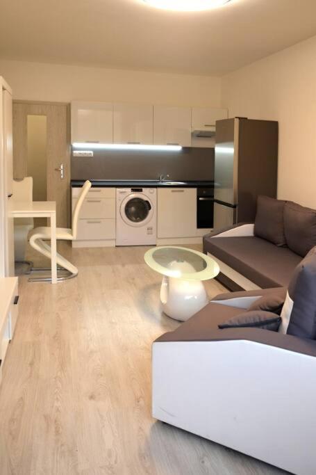 Utulny Apartman V Centru, S Krasnym Vyhledem 德辛 外观 照片