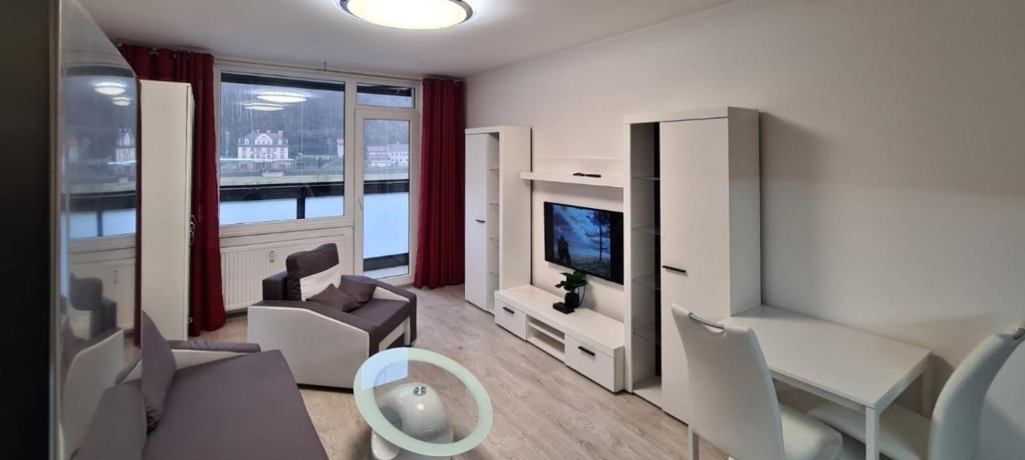 Utulny Apartman V Centru, S Krasnym Vyhledem 德辛 外观 照片